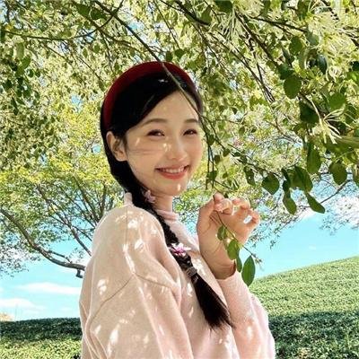 卸岭秘录
